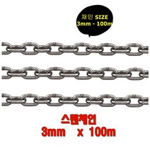 스텐체인 쇠사슬 체인 3mm 100m 롤러체인 가드레일 도난방지 주차장 다용도 채인 가이드라인 프레스 칼블럭 안전로프 주차금지 쇠줄 추천