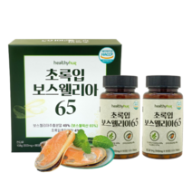 보스벨리아 보수엘리아 보스웰릭산 65% 초록입 초록잎 파란 초록빛 홍합 슬관절 연골