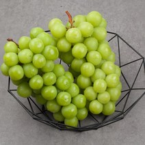 [후레쉬] 샤인머스켓 선물세트 실중량 3.7kg 내외(5송이), 단품