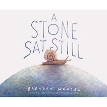 A Stone SAT Still, Chronicle Book
