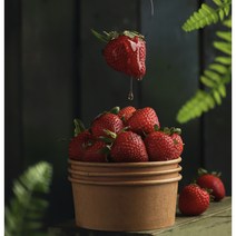 딸기 고령 최상급 프리미엄 설향 딸기 (당도보) 1팩 800g 900g 2팩 1.6kg 1.8kg 1, 1팩 35구 800g
