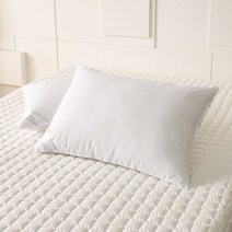 박홍근홈패션 알파 마이크로 베개솜_50X70, 화이트