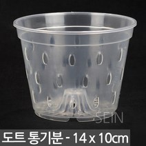 도트 투명 통기분 11호 - 통기 화분 슬릿 난분 난 동양 서량 플라스틱 포트 플분 란 서양 동양 모종 심기 삽목 분갈이