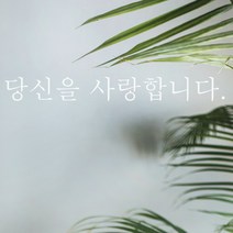 단비데코 감성레터링 스티커 감성문구 응원 명언 현관문 포인트스티커, L-09당신을사랑합니다-화이트
