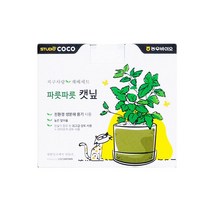 고양이간식 캣잎키우기 캣닢화분 재배키트 뜯어먹는 catnip 기분좋은 캣글라스추천 풀 캣닙