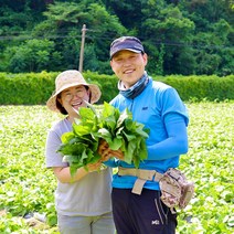 강원도 정선 곤드레, 건곤드레, 100g, 1개