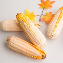 옥수수 모형(소)-가을 가을디스플레이 모형 장식 소품 전시용 장난감 소꿉놀이 역할놀이 컨셉 민속촌 민속용품 전통소품 음식 음식모형