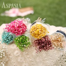 프리저브드 컬러 안개꽃 미니 부케_색상 6종중 택1, 안개꽃 색상 선택:블루