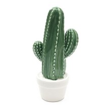 [박씨상방] 도자기 용신목 선인장