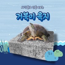 거북이육지 거북이쉼터 수조용품 사각돌 큐브곱돌9개