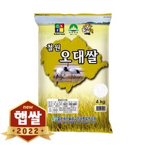 현대농산 2022년 햅쌀 철원 오대쌀 4kg 단일품종 소포장쌀, 1개