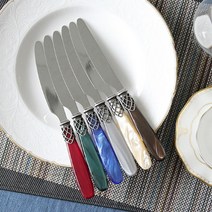 디앤디 프랑스 테이블 나이프 6종 택1, 샴페인펄 R456