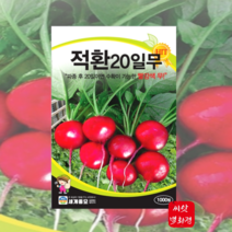 20일수확무 적환무 씨앗 1000립/ 방울무 종자 씨, 1개