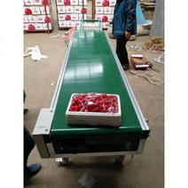 과일선별기 사과 감자 자두 복숭아 감 토마토 110198, 알루미늄 합금 운반 및 분류 플