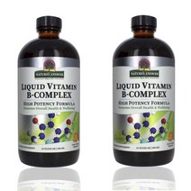 네이처스앤서 액상 멀티 비타민B 콤플렉스 480ml x 2통 귤맛