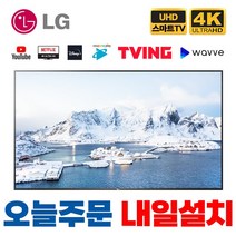 LG전자 65인치 (165cm) 올레드 EVO UHD 4K 스마트 웹OS TV 갤러리형 OLED65G1, 지방기사방문 벽걸이설치