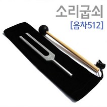 소리굽쇠 청력 골전도 검사 도구 음차512 교구 과학 창의 방과후 실험 돌봄 실습 학습 재료 교재