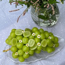샤인머스켓 직접재배 산지직송 GAP 프리미엄 고당도 씨없는 망고포도 청포도 추석 과일 선물, 특품 4KG (4~6수)