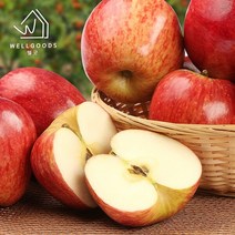 [웰굿] 경북직송 가정용 부사 사과 5kg(18과내 대과)