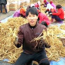 더굿진생 금산 인삼 수삼 햇 정품원수삼 350g, 1개, (세척안함)알뜰형 350g(8~10뿌리)
