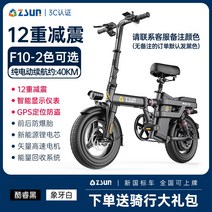 초경량 접이식 전기자전거 출퇴근 대리운전기사, F10-12단충격흡수-10AH순수전기약40km, 48V