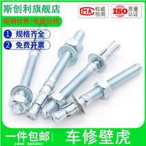 앙카 아연도금 도마뱀 차 너트 래핑 엘리베이터 전용 팽창 볼트 M8M10M20 2526127437, 12*120 (5커버 )