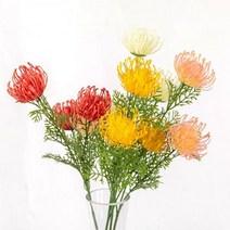 고속터미널꽃시장 핀쿠션 레우코스페르뭄 조화꽃 63cm, 크림 (WT000151)