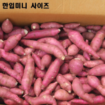 대아 꿀고구마 베니하루카, 한입 5kg