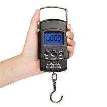 명품 고급휴대용 계측기 측정 저울 미니 루어낚시 전자 물고기럭셔리, 상세페이지 참조, 1개