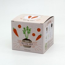 식물키우기 6개 세트 옥수수 강낭콩 당근 가지 고추 상추 씨앗키트 어린이집 유치원 납품 강남콩 모종키우기, 당근 모종키우기 6