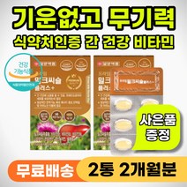 기운없을때 무기력 육체 피로 개선 효능 식약처인증 기능성 간영양제 간기능 개선제 간 체력 기력 떨어질때 보충 강화 영양제 간에좋은 밀크시술 속쓰림 구토 위장 복부 통증 추천