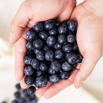 생 블루베리 생과 칠레 국산 미국산 제철 부르베리 250g, 1개