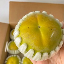 (고당도) 햇 태추단감 배단감 창원 태추 부유 단감 2kg 3kg 5kg, 1박스, 2kg(100g당 140원)