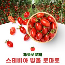 [프리미엄] 달콤한 꿀맛 스테비아 방울토마토 단마토 토망고 샤인마토, 2팩