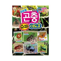 곤충슈퍼 대도감-11(BATTLE최강왕)