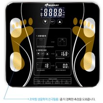 체지방 스마트 디지털 정확한 몸무게 측정기 체충계