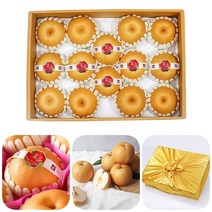 신고배선물세트 추석 설명절 과일 7.5KG 8-10과 명품