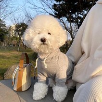 강아지옷 강아지옷도매겨울 애완 동물 강아지 후드 솔리드 따뜻한 개 옷 코튼 플러스 벨벳 고양이 작고 귀, [01] XS, 01 White_01 XS