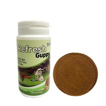 리플로 구피 열대어 사료, 65g, 2개