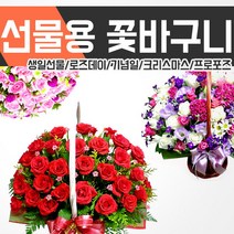 [젠틀맨플라워] /꽃바구니/옵션가NO/전국최저가/전국3시간이내당일발송/전국꽃배달서비스/화이, 꽃바구니선택:18.깜찍한그녀