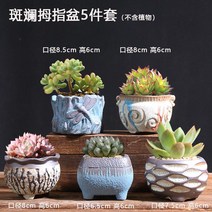 망포트 이색포트 달항아리화분 슬릿분 도자기 플라스틱화분 데로마 인테리어화분 빈티지 395ea2, 공작 블루 알록달록 엄지 대야 5종 세트