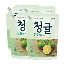 참그린 청귤 산뜻 설거지 주방세제 리필, 1kg, 4개