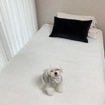 쿨잠 3D 에어 매쉬 아이스 쿨 매트 패드 쿨링 여름 통풍 침대 냉, 화이트