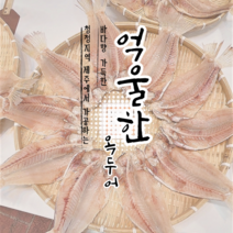 제주옥돔 동문재래시장 반건조 옥두어(백옥돔 흑옥돔 실어리 등)특대 2kg 6마리, 옥두어 특대 2kg 6마리