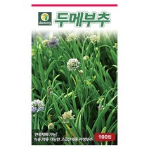 수박 무 100립 수박무 무씨앗 과일무 무씨 무우씨앗 무우씨 채소씨 채소씨앗 야채씨 야채씨앗, 11_다농_두메 부추(100립)