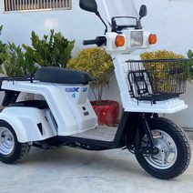 [법률행정연구소] 혼다 50cc 세발 스쿠터 오토바이 삼륜 4행정 수냉식, GYRO X