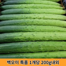 백오이 백다다기오이 오이소박이용 야채샐러드 특상품 가락시장당일상품 DR market, 백오이 특품 1개당 200g 내외, 5개