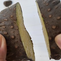 국내산 하늘마 열매마 줄기마 1kg 2kg 3kg 4kg, 4kg/개당 60-150g
