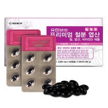 유한메디카 프리미엄 철분 엽산 2통 8개월분 임산부 수유부 철분제 영양제