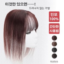 여성 시뮬레이션 가발 여성용 인모 정수리 두피일체형 앞머리가발, 연갈색(25cm)